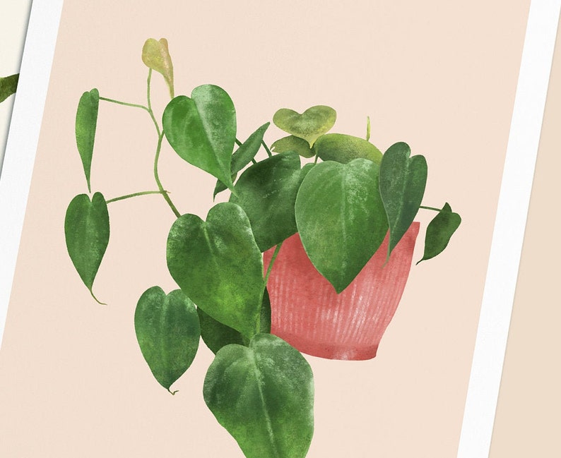 Postkarten mit Pflanzen, 3er Set, Sanseviera, Aloe Vera, Herzblatt Philodendron Bild 4