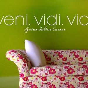 Muursticker Veni Vidi Vici 2 quotes (uss557)
