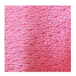 Tala Pigmenten Candy Coral R7 2ml