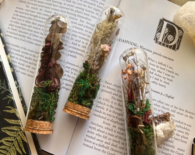 Glass Dome Dried Flowers, Glass Dome Preserved Flowers, Dried Flowers