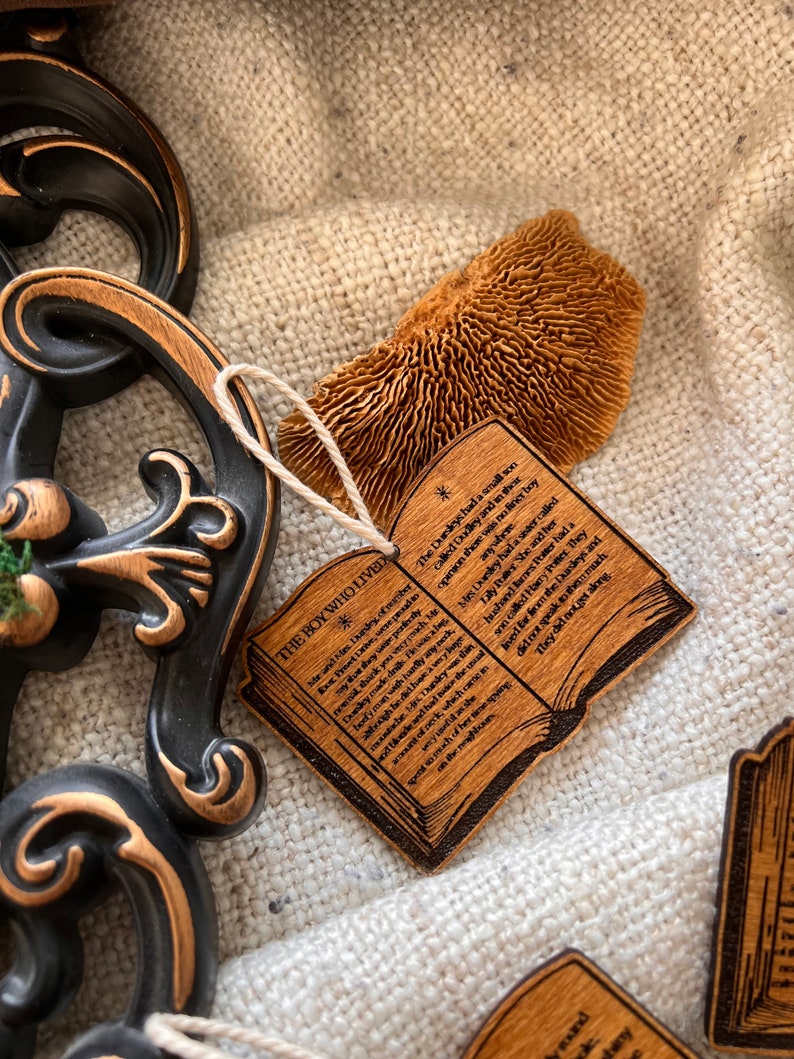 May include: A wooden book-shaped ornament with a brown stain and a white string. The ornament has the text "The Boy Who Lived" and a quote from the Harry Potter series.