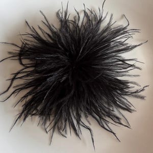 Könnte beinhalten: Ein kreisförmiges Arrangement aus schwarzen Federn, vermutlich Straußenfedern. Die Federn sind lang, weich und haben eine flauschige Textur. Der Artikel liegt auf einem weißen Hintergrund.