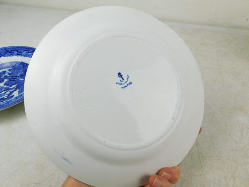K&ouml;nnte beinhalten: Ein wei&szlig;er Keramikteller mit blauem Emblem und Text, gehalten von einer Hand. Der Teller hat eine glatte Oberfl&auml;che und einen leicht gebogenen Rand. Ein weiterer blau-wei&szlig;er Teller ist im Hintergrund teilweise sichtbar.