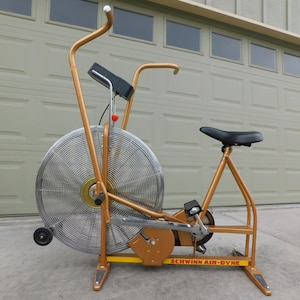 Vintage schwinn airdyne gold new arrivals