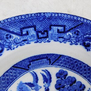 K&ouml;nnte beinhalten: Nahaufnahme eines blau-wei&szlig;en Keramiktellers mit detailliertem Muster. Der Teller hat ein klassisches Design mit floralen und geometrischen Elementen. Der Rand hat ein sich wiederholendes Muster aus kleinen Kreisen.