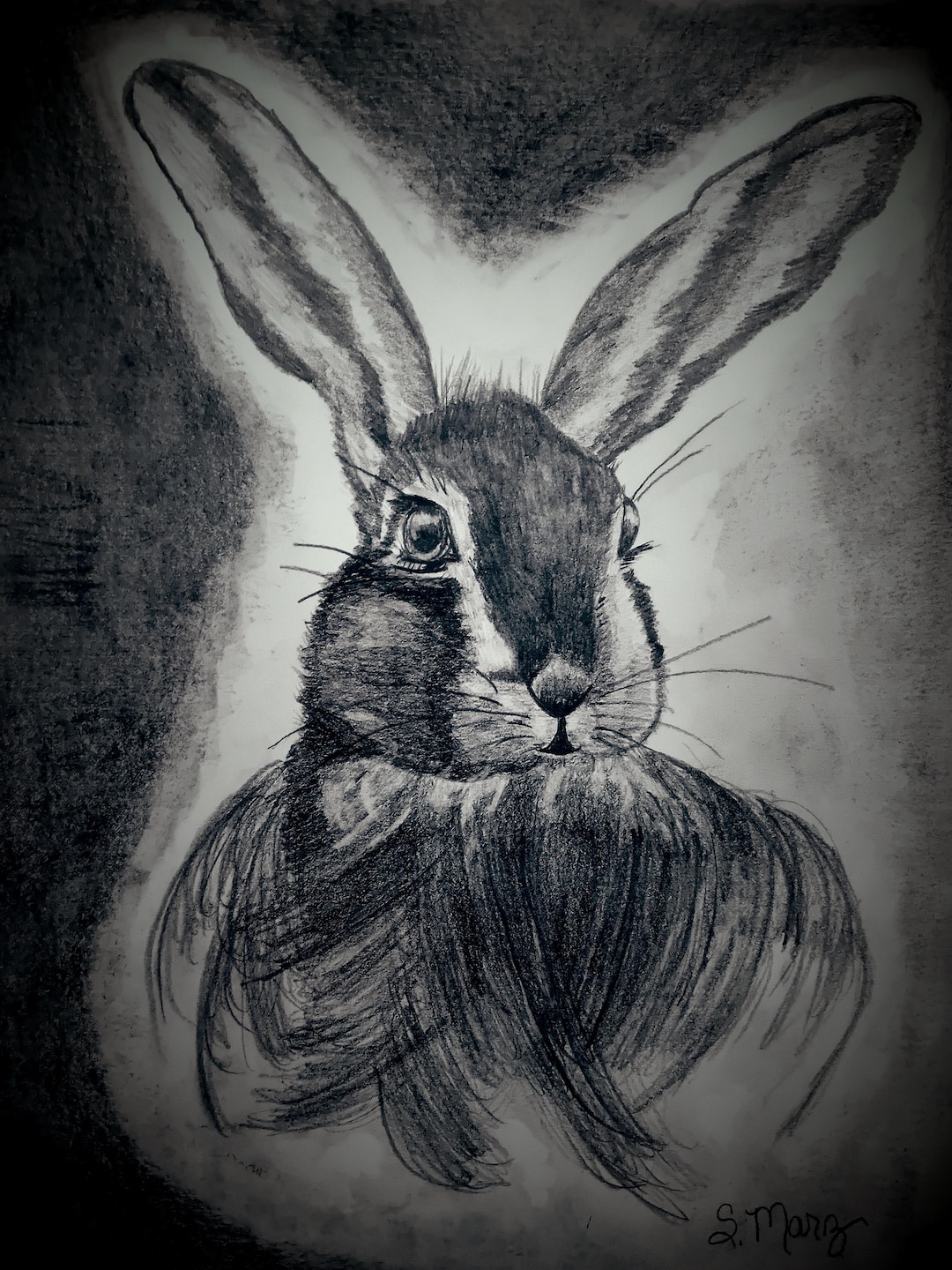 Original English Bunny Charcoal Sketch Print and Signed - Etsy