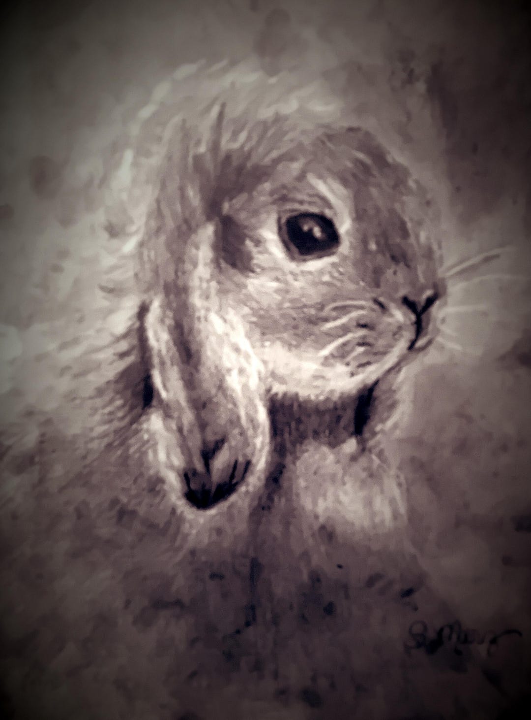 Original Mini Lop Bunny Charcoal Drawing Print - Etsy