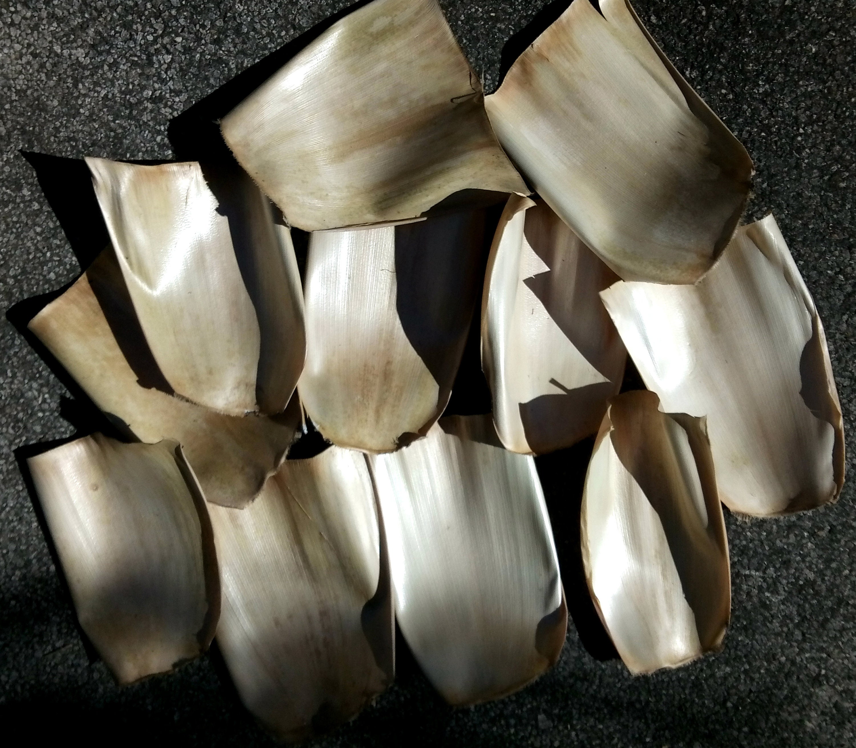 Natural bamboo sheaths for art and craft projects 10 pieces Etsy