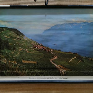 Lehrtafel Schulwandkarte Rollbild Wandkarte Vintage Genfer See