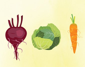 Könnte beinhalten: Eine rote Bete mit grünen Blättern, ein grüner Kohl und eine orangefarbene Karotte mit grünen Blättern.