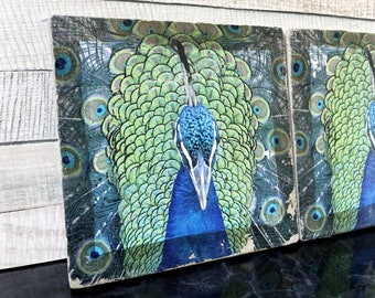 Design Concrete Coaster – Peacock | handmade