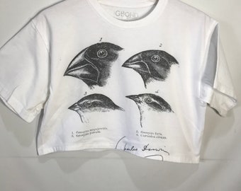 Geospiza  Birds  Crop T-Shirt