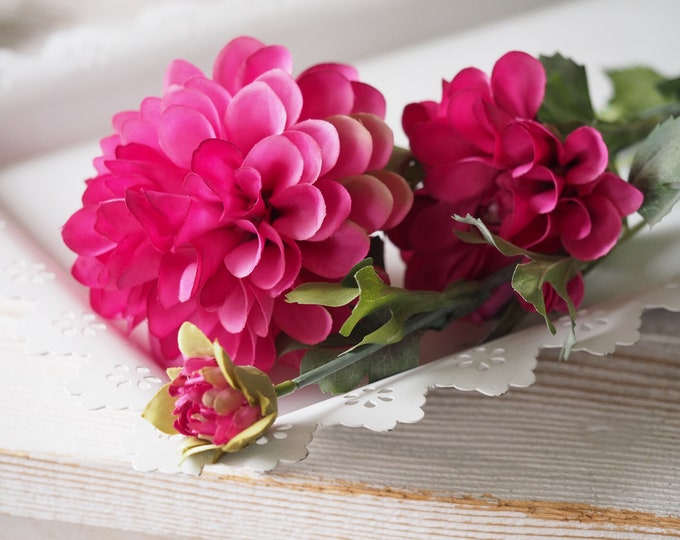 Dahlia fuchsia