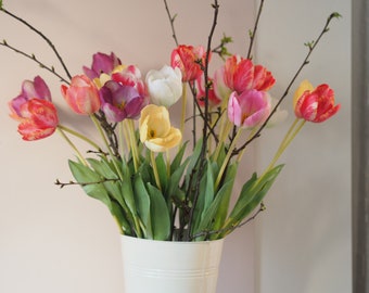Tulpen lang 60cm viele Farben