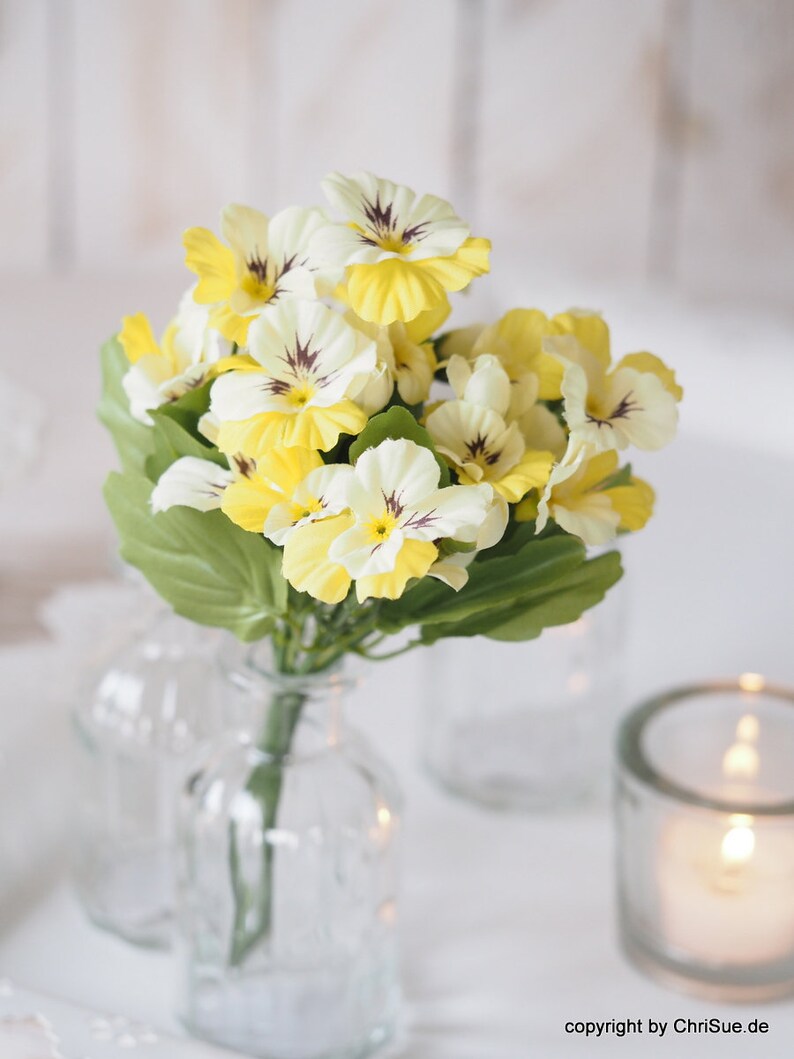 Stepmother yellow