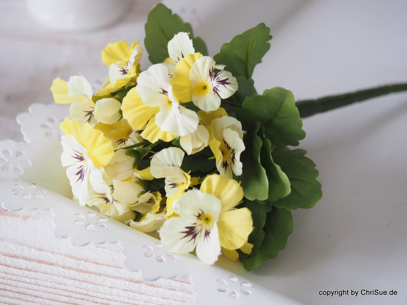 Stepmother yellow