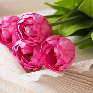Tulpen 5 Stk.