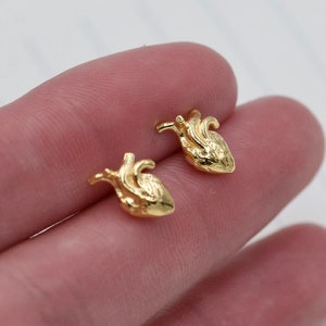 3D Anatomical Human Heart Studs Earrings 24k, Medicine Student Gift Idea, Doctor and Nurse Jewelry Anatomically Correct Human Heart Earrings