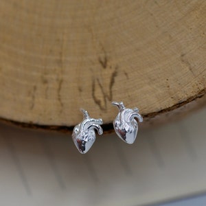 3D Anatomical Human Heart Studs Earrings Sterling Silver, Medicine Student Gift, Doctor Nurse Jewelry Anatomically Correct Human Heart Studs