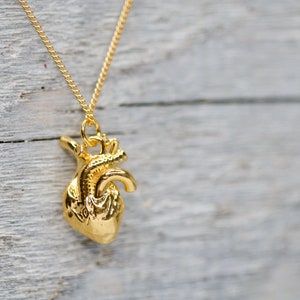 3D Anatomical Human Heart Charm Necklace 24k, Medicine Student Gift Idea, Doctor and Nurse Jewelry Anatomically Correct Human Heart Necklace