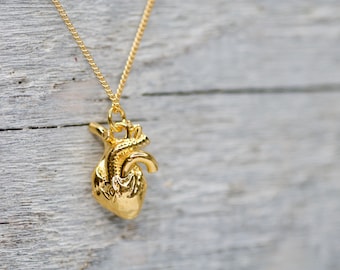 3D Anatomical Human Heart Charm Necklace 24k, Medicine Student Gift Idea, Doctor and Nurse Jewelry Anatomically Correct Human Heart Necklace
