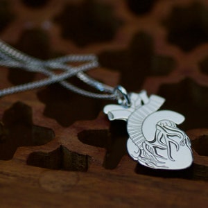 Anatomical Human Heart Charm Necklace Sterling Silver, Medicine Student Gift Idea, Doctor and Nurse Jewelry Anatomically Correct Human Heart