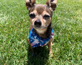 Reversible Dog Bandana | Patriotic 4th of July, Over Collar