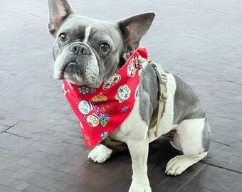 Fall Dog Bandana: Reversible Autumn Print, Over the Collar Halloween Prints