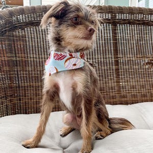 Extra Small Dog Bandana| Pet Bandana| Dog Scarf| Reversible Pet Handkerchief|XS Dog Bandana|XS Size Dog Handkerchief|Pet Accessories Size XS
