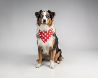 Reversible HKitty Valentine's Day Pet Bandana: Dog Collar Scrunchie