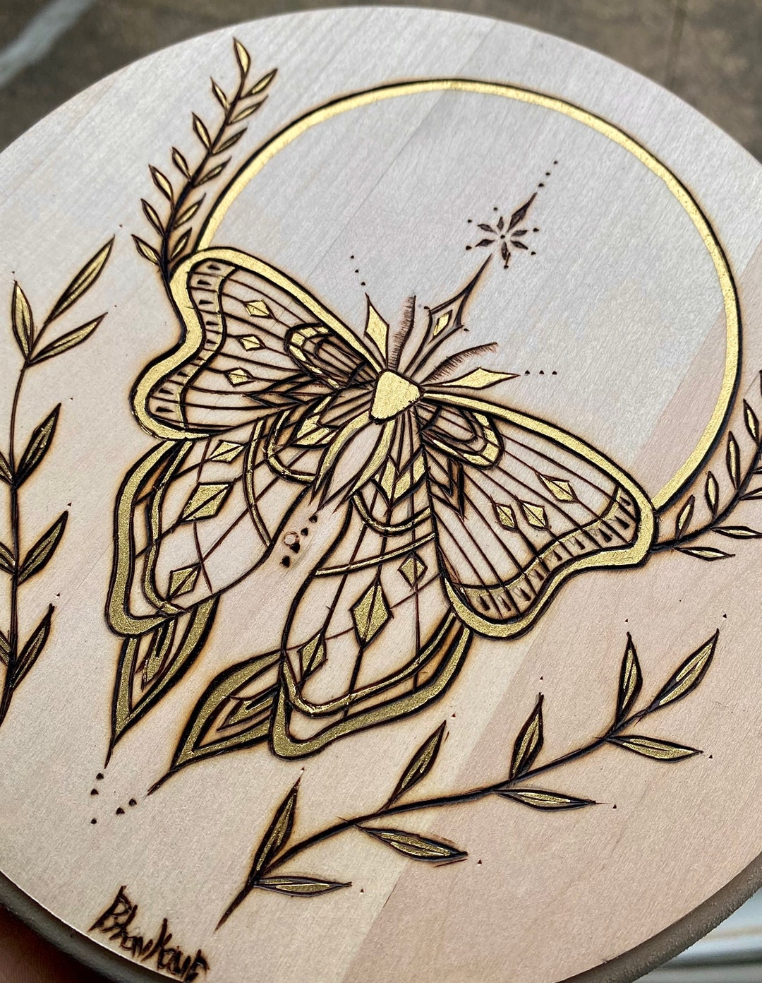 Moon Moth Pyrography Art Piece - Etsy