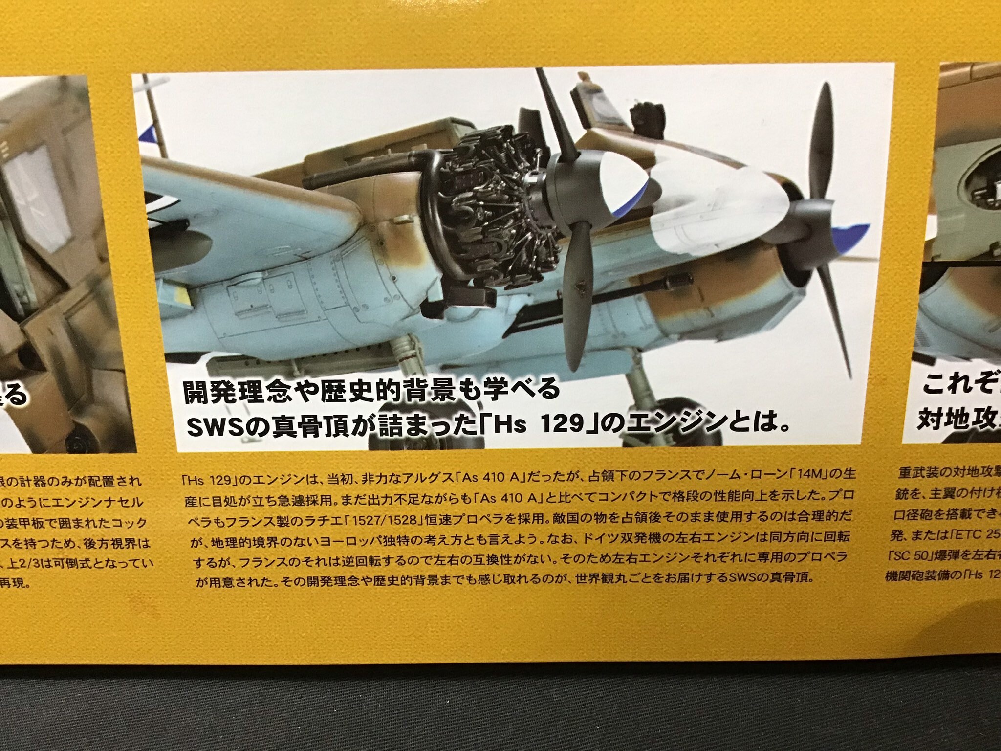 Hansamu 専用BLACK DESIGN | 葉月①