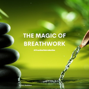 Breathwork Training | Breathwork Course | Introduction To Breathwork | Mindfulness | Meditation | Breathwork Video | Breathing Exercise