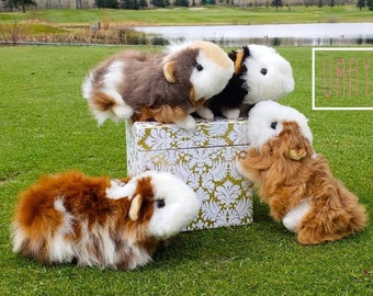 Unique Guinea Pig Plushies! (Real Alpaca fur) - Special Toys/Stuffies handmade with lots of love! Clothing and Accessories available!