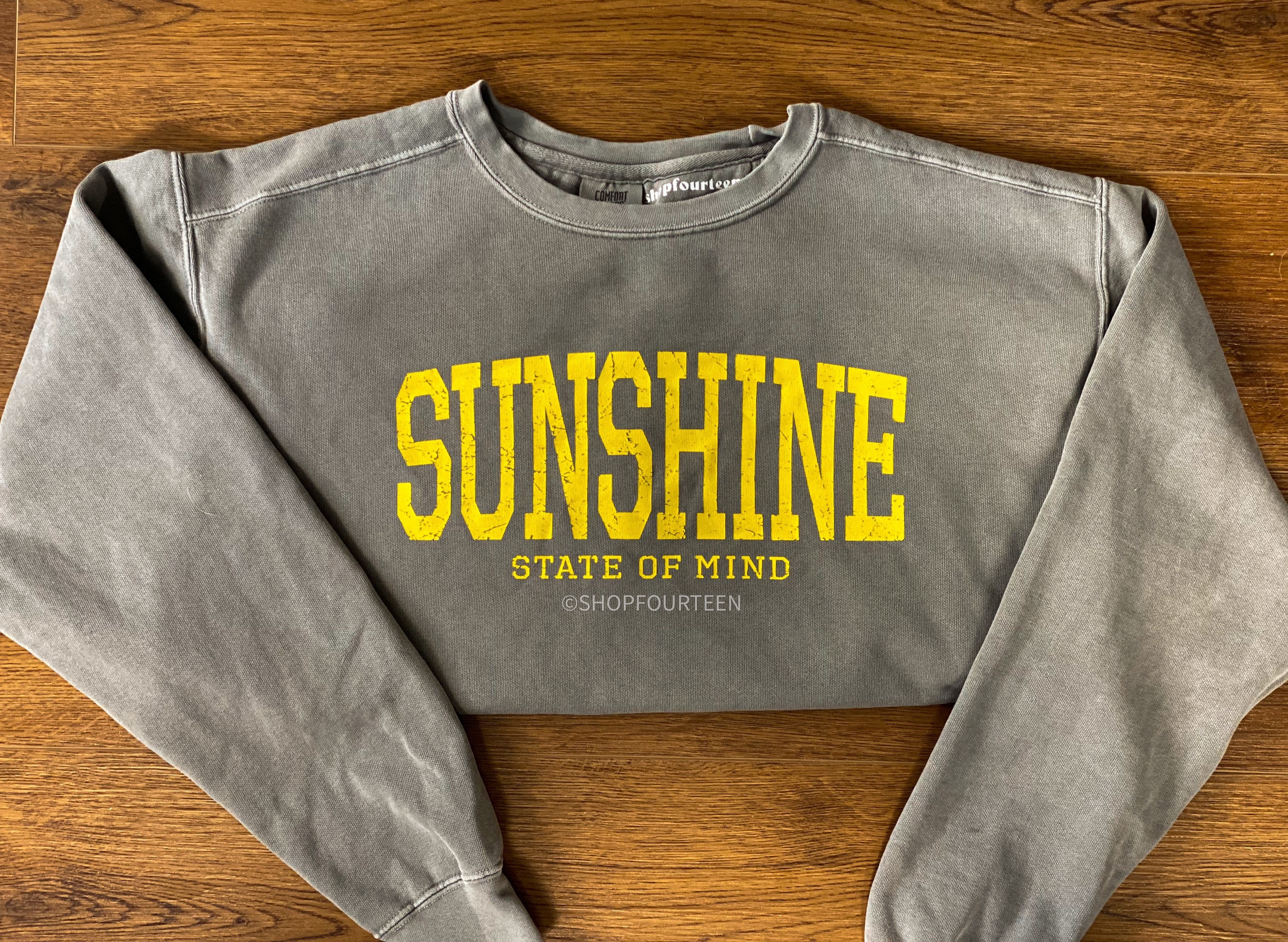 Sunshine State of Mind Graphic Crewneck Sweatshirt | Etsy