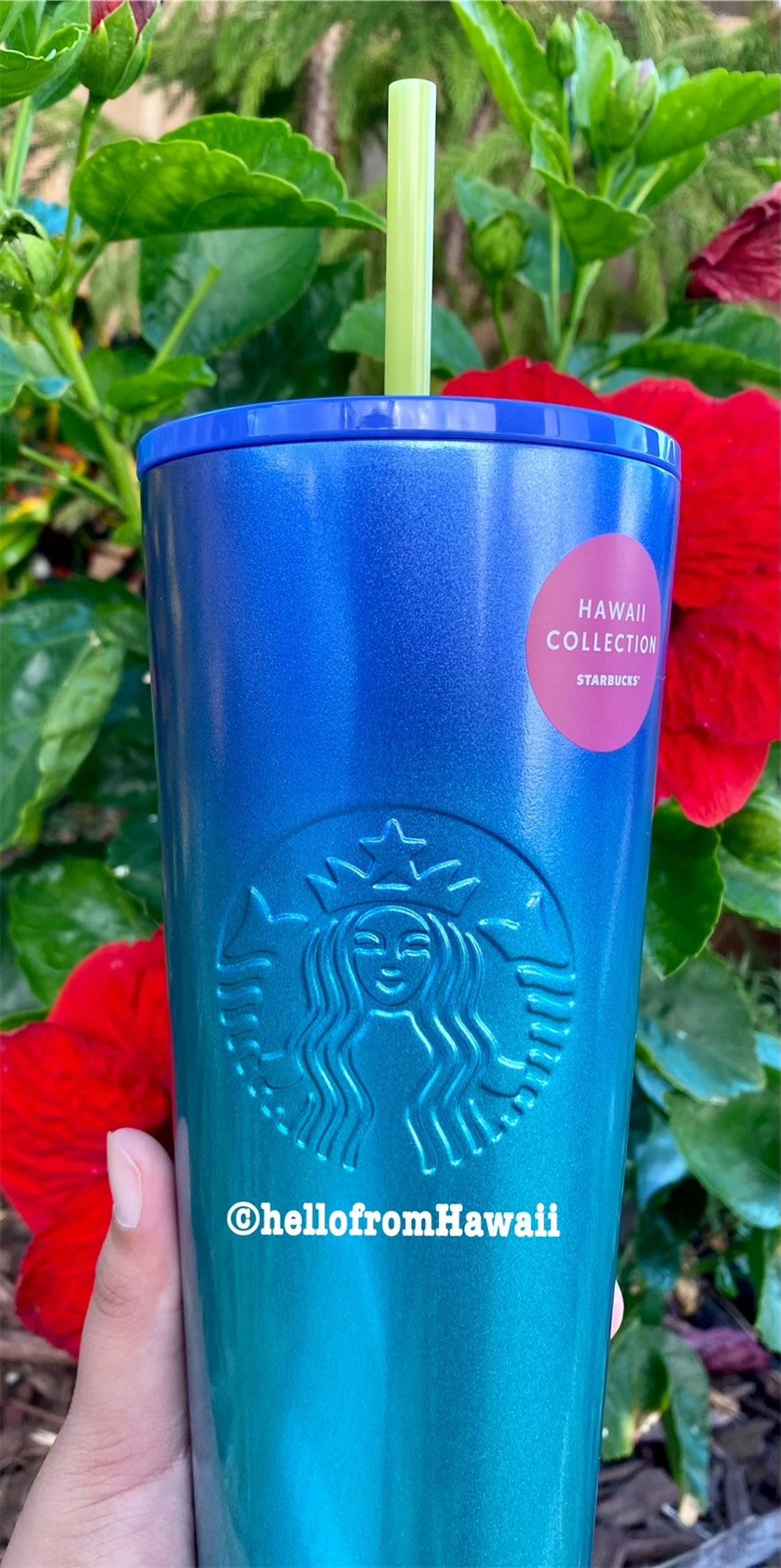 Starbucks Hawaii Exclusive Metal Tumbler Cold Cup Tropical Etsy