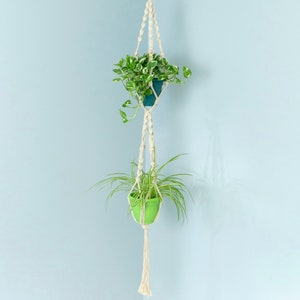 May include: A double-tiered macrame plant hanger with two potted plants. The top pot is teal and holds a leafy green plant with white variegation. The bottom pot is green and contains a spider plant. The macrame is off-white, hanging against a light blue wall.