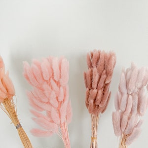 Pink Bunny Tails: Dried Flower Bundle (30 Stems)