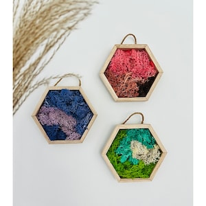 Moss Wall Art, Honeycomb Wall Decor, Wood Hexagon, Green Reindeer Moss, Colorful Moss Art, Mini Moss Art Set, Plant Gift