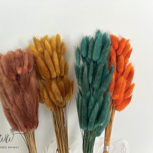Bunny Tails - Boho Colors (30 stems per pack)