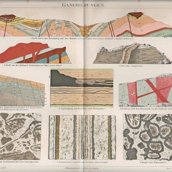 Vintage industrial design vein formations geological formation, Art Nouveau chromolithography picture panel, color print, illustration color lithography