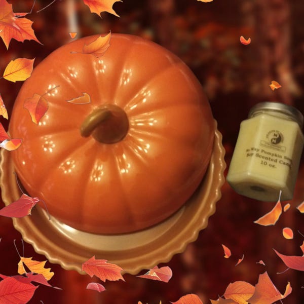 Plat de cuisson tarte à la citrouille facile à prendre en main en édition limitée (ensemble)