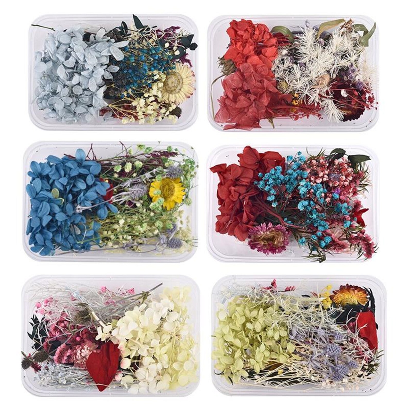 1 Box Multicolor Dried Flower Random Resin Filling Epoxy UV Etsy