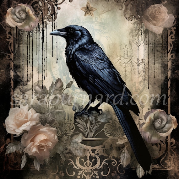 Digital Download Black Gothic Crow Decoupage Style Vintage Watercolor  Background AI Art Print Printable Poster Image Stock Photo PNG - Etsy  Ireland