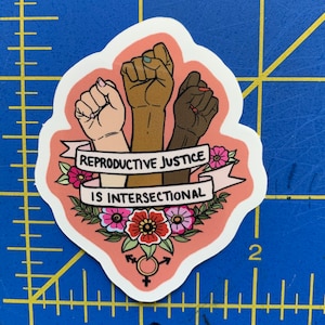 May include: A pink sticker with three raised fists of different skin tones. The fists are surrounded by pink flowers and green leaves. A pink banner reads "Reproductive Justice is Intersectional". A transgender symbol is at the bottom.