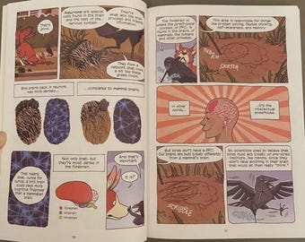Science Comics Series: Get to Know Your Universe 30 Books Complete