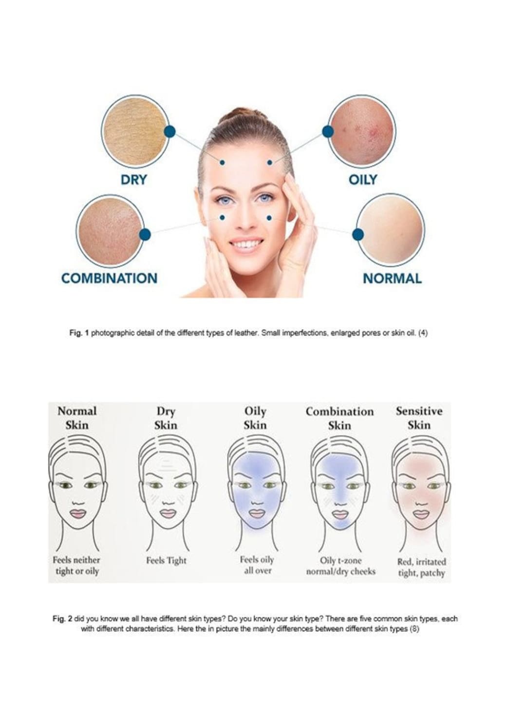 Different Skin Types and Care Tips. Ebook With Information, Features ...