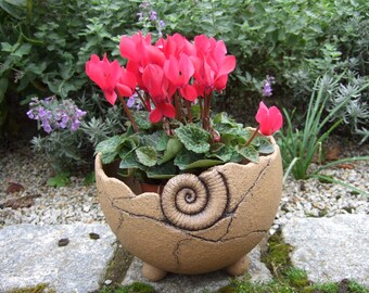 Bol à plantes en céramique/pot à plantes/décoration de jardin/boule végétale AMMONITE