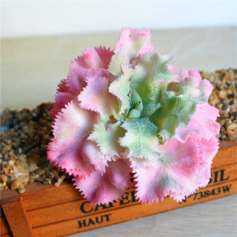 Artificial Succulents,Faux Succulents,Imitation Succulents,Succulent Cutting,Succulent Planters,Miniature Garden,DIY Floral Arrangements,F55