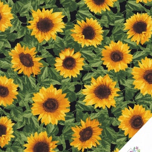 SONNENBLUMEN  Stoff Nr. 230730